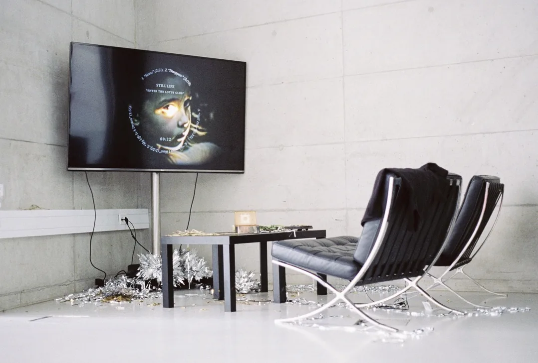 Still Life installation