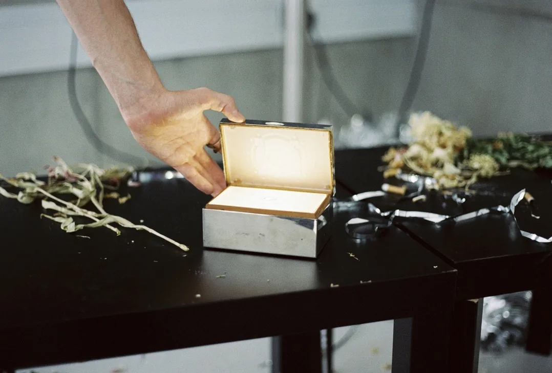 Still Life installation